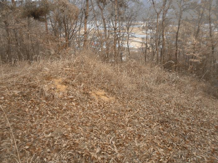 경상남도 밀양시 초동면 덕산리 산245 임야 경매 사진 2
