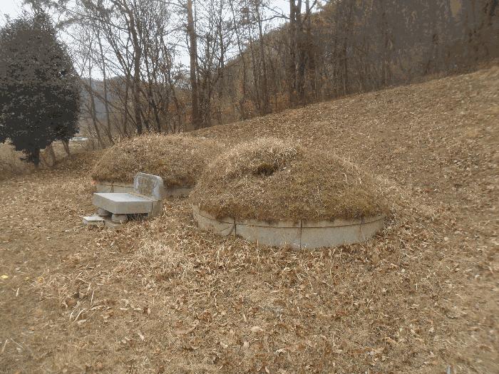 경상남도 밀양시 초동면 덕산리 산245 임야 경매 사진 3