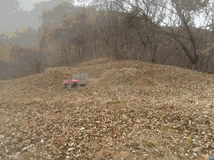 경상남도 밀양시 초동면 덕산리 산245 임야 경매 사진 4