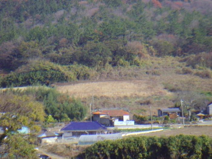 전라남도 해남군 화원면 인지리 88 전 경매 사진 7