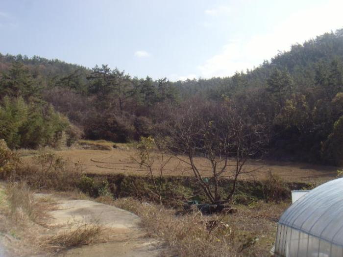 전라남도 해남군 화원면 인지리 88 전 경매 사진 9