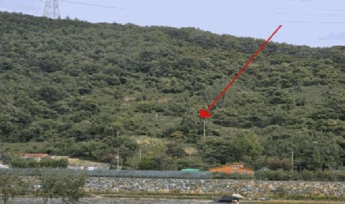 경상남도 밀양시 단장면 고례리 1453-4 창고 경매 사진 1