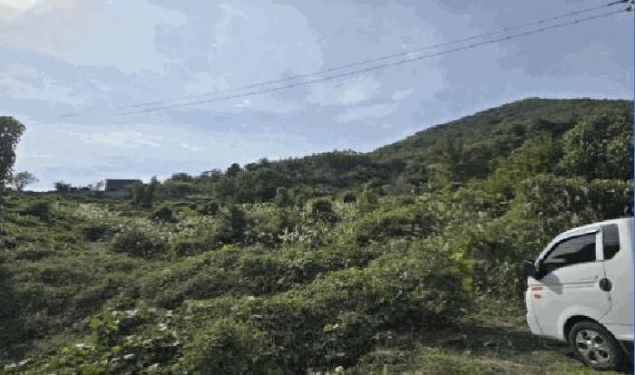 경상남도 밀양시 단장면 고례리 1453-4 창고 경매 사진 16