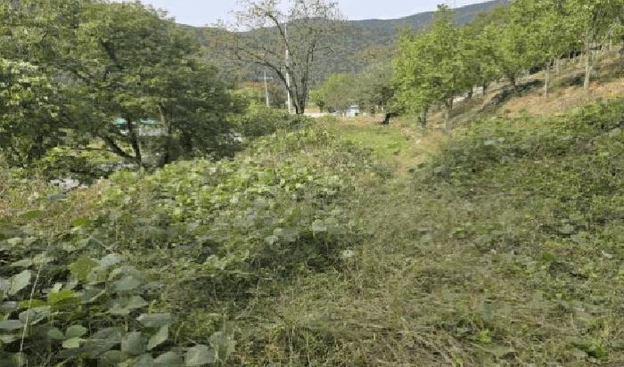 경상남도 밀양시 단장면 고례리 1453-4 창고 경매 사진 8