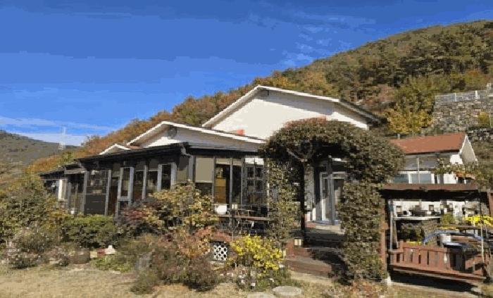 경상남도 밀양시 단장면 무릉리 255-29 임야 경매 사진 19