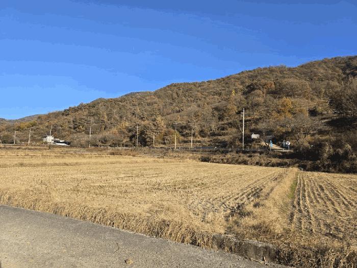 경상남도 밀양시 초동면 덕산리 1454-5 답 경매 사진 2