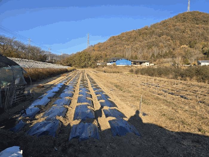경상남도 밀양시 초동면 덕산리 1454-5 답 경매 사진 3