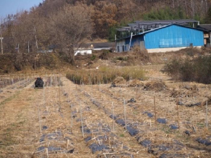 경상남도 밀양시 초동면 덕산리 1454-5 답 경매 사진 9