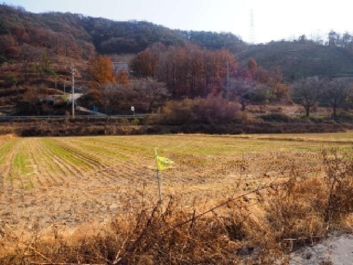 경상남도 밀양시 초동면 신월리 432-2 답 경매 사진 6