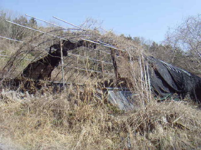 전라남도 진도군 고군면 석현리 825-1 공장 경매 사진 18