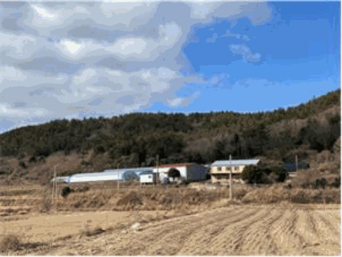 전라남도 진도군 고군면 석현리 796 전 경매 사진 10