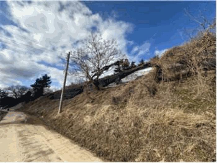 전라남도 진도군 고군면 석현리 796 전 경매 사진 4