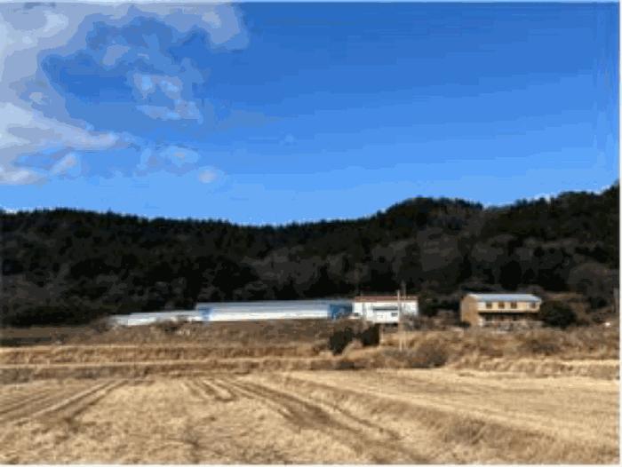 전라남도 진도군 고군면 석현리 798 전 경매 사진 9