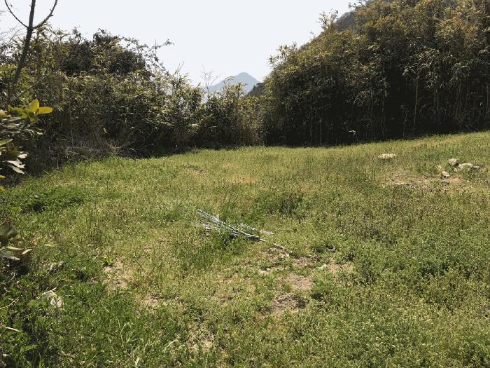 전라남도 진도군 대지