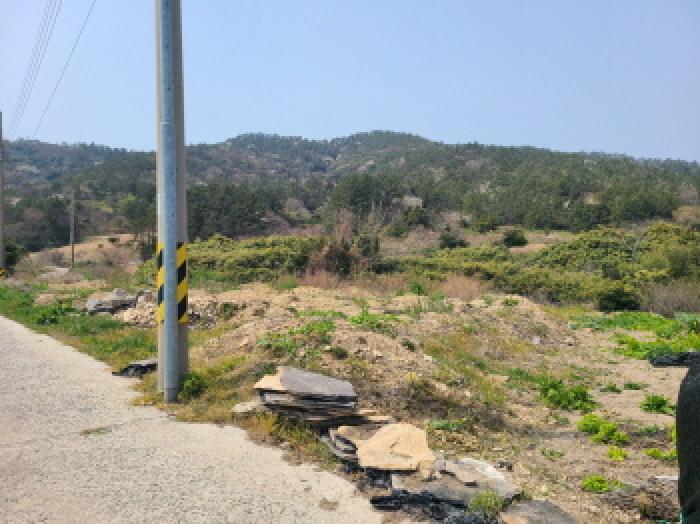 전라남도 진도군 조도면 눌옥도리 20 대지 경매 사진 18