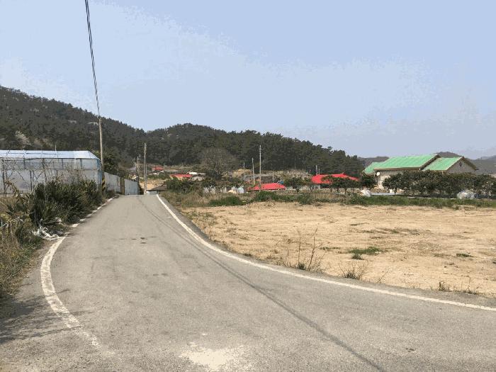 전라남도 진도군 조도면 눌옥도리 20 대지 경매 사진 3