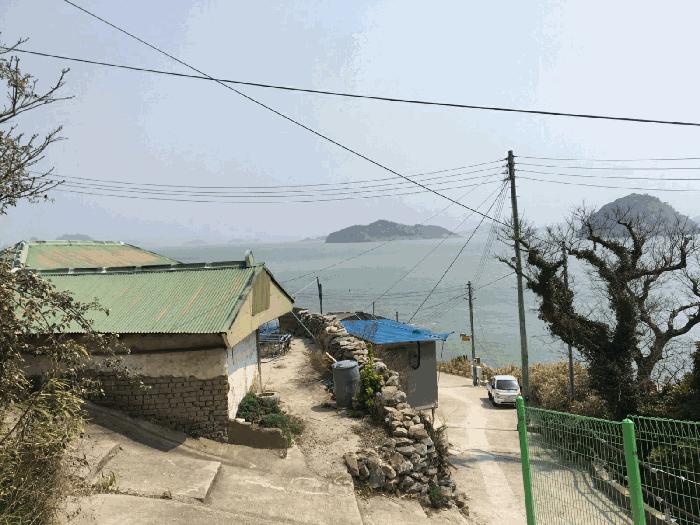 전라남도 진도군 조도면 눌옥도리 20 대지 경매 사진 5
