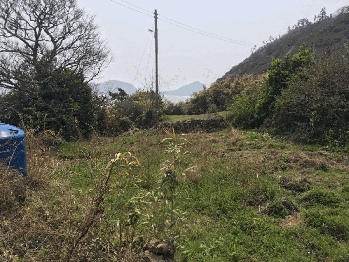 전라남도 진도군 조도면 눌옥도리 20 대지 경매 사진 8