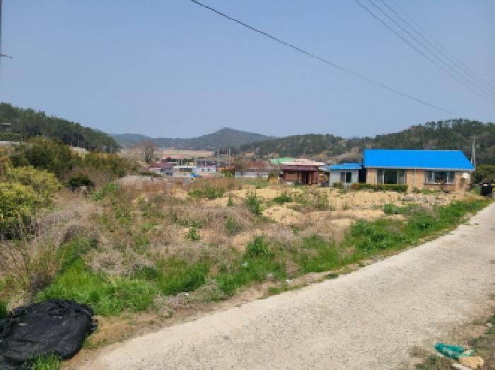 전라남도 진도군 조도면 창유리 2301 전 경매 사진 17
