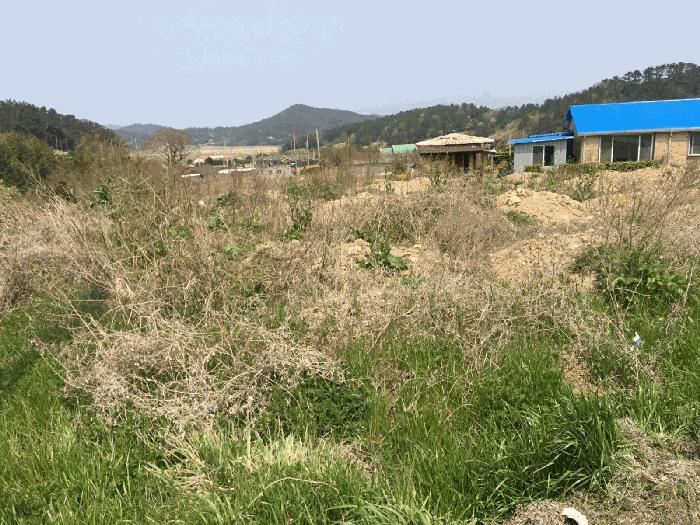 전라남도 진도군 조도면 창유리 2301 전 경매 사진 6