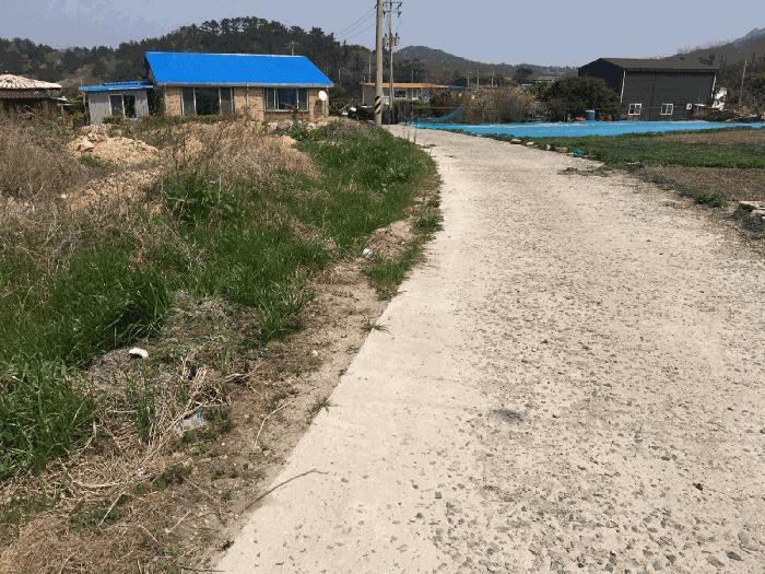 전라남도 진도군 조도면 창유리 2301 전 경매 사진 7