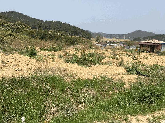 전라남도 진도군 조도면 창유리 2301 전 경매 사진 9