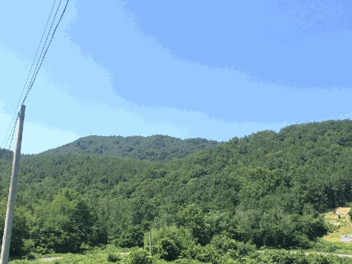 전라남도 해남군 마산면 화내리 산89 임야 경매 사진 7