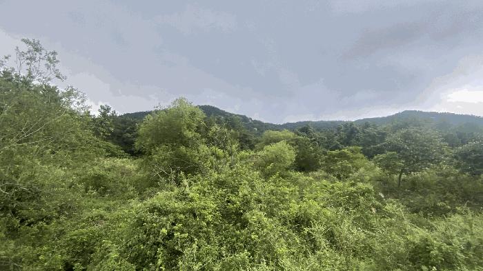 전라남도 완도군 답