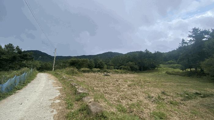 전라남도 완도군 약산면 장용리 955 답 경매 사진 8