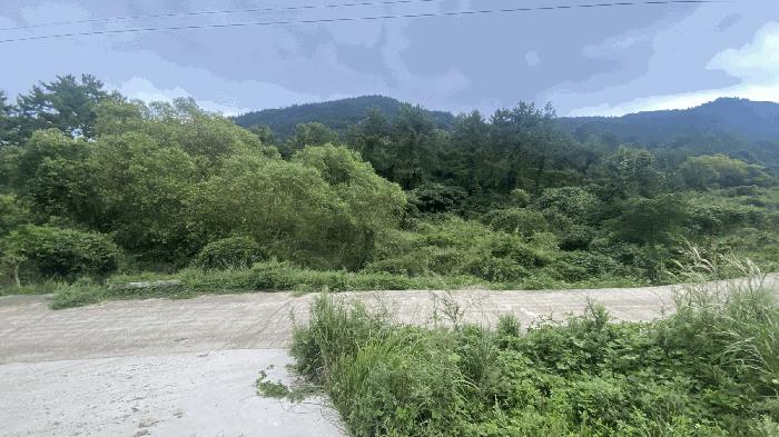 전라남도 완도군 약산면 우두리 28 답 경매 사진 2