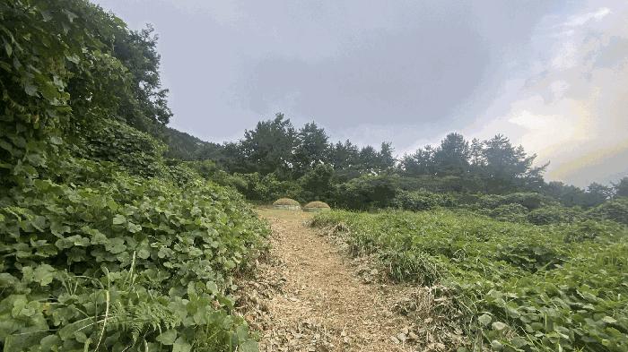 전라남도 완도군 약산면 우두리 28 답 경매 사진 3