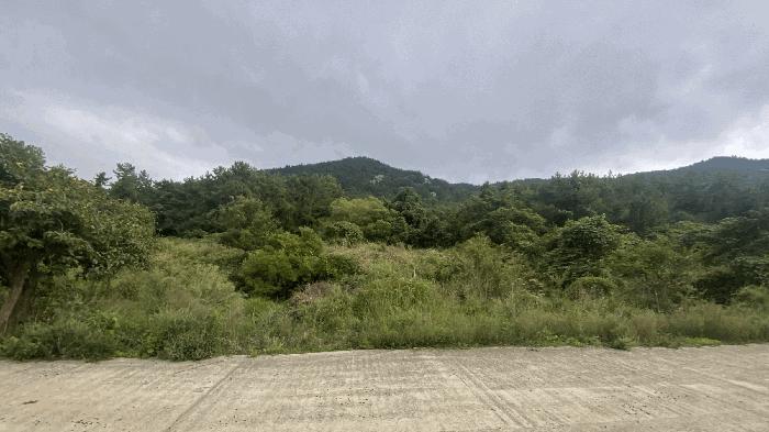 전라남도 완도군 약산면 우두리 28 답 경매 사진 4