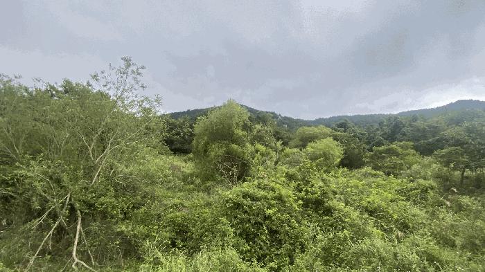전라남도 완도군 약산면 우두리 28 답 경매 사진 5