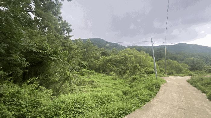 전라남도 완도군 약산면 우두리 28 답 경매 사진 7