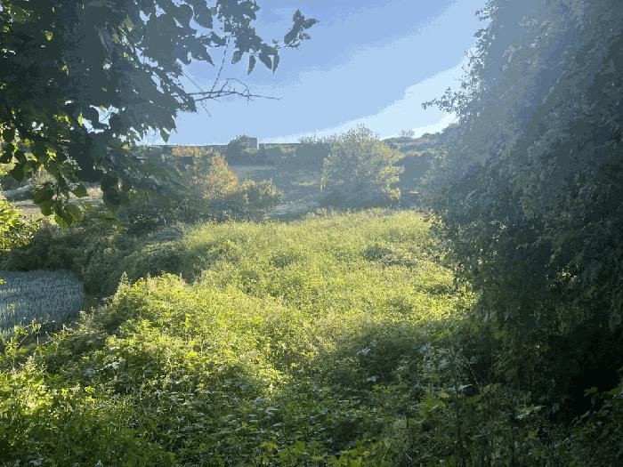 전라남도 해남군 문내면 고평리 155 답 경매 사진 4