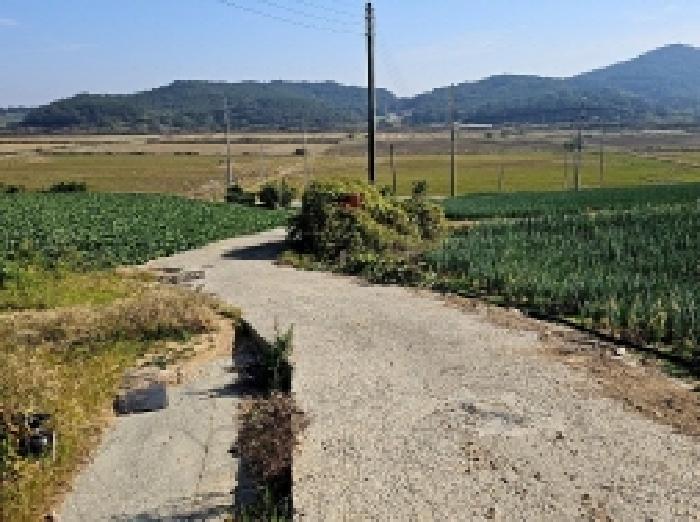 전라남도 해남군 문내면 고평리 169 전 경매 사진 13