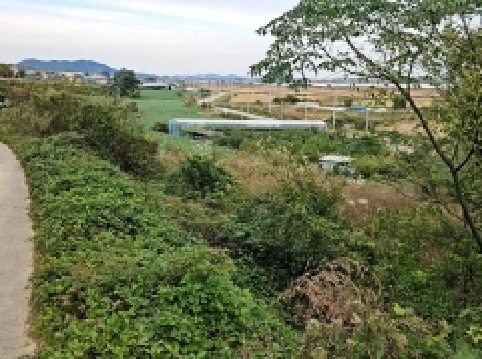 전라남도 해남군 문내면 고평리 169 전 경매 사진 16