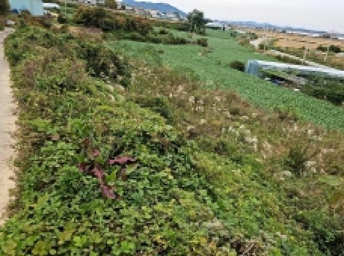 전라남도 해남군 문내면 고평리 169 전 경매 사진 17