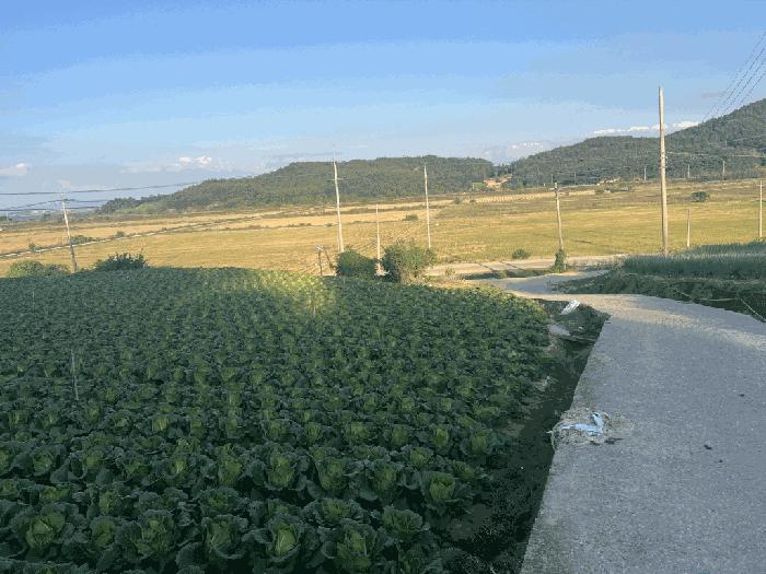 전라남도 해남군 문내면 고평리 169 전 경매 사진 9