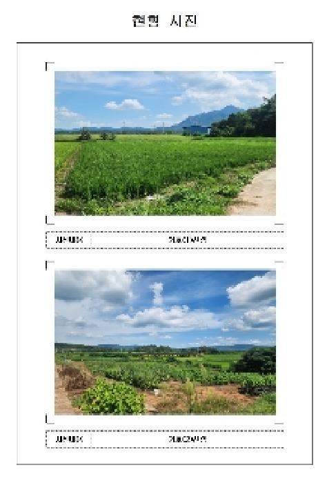 전라남도 영암군 덕진면 장선리 439-4 전 경매 사진 5
