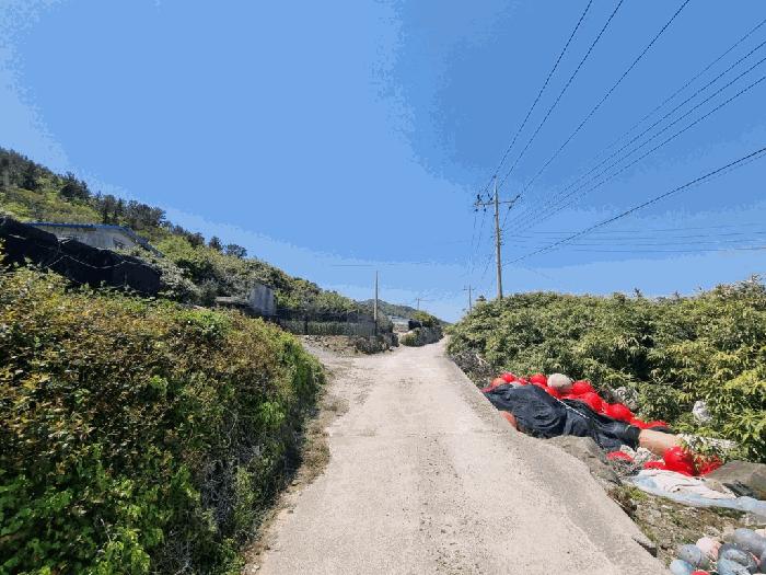 전라남도 완도군 보길면 중통리 산230-2 임야 경매 사진 11