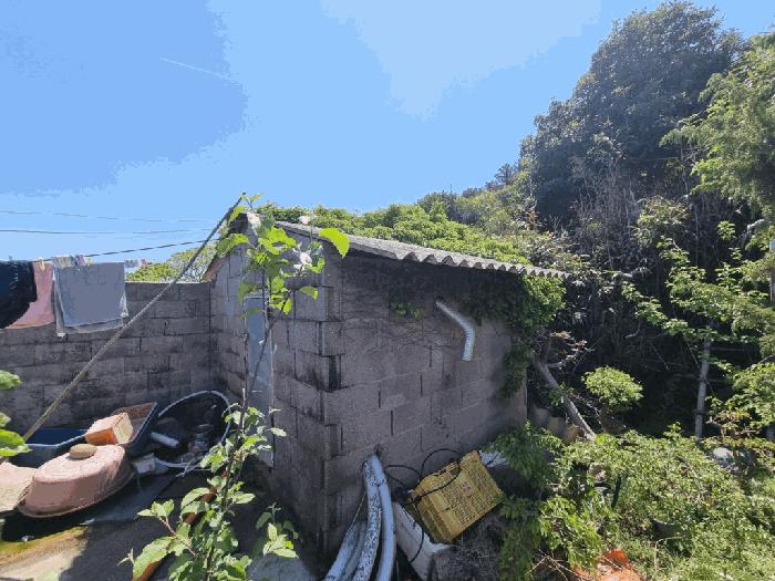 전라남도 완도군 보길면 중통리 산230-2 임야 경매 사진 12