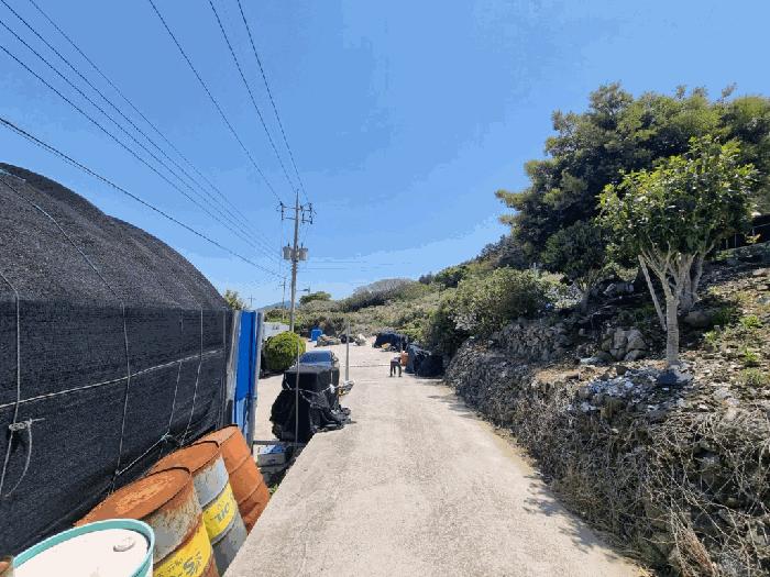 전라남도 완도군 보길면 중통리 산230-2 임야 경매 사진 18