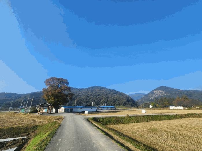 전라남도 무안군 몽탄면 내리 1027-8 답 경매 사진 2