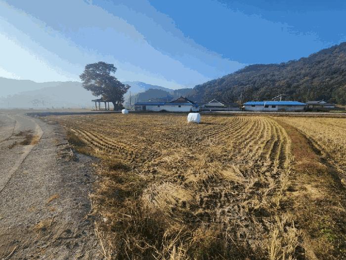 전라남도 무안군 몽탄면 내리 1027-8 답 경매 사진 5