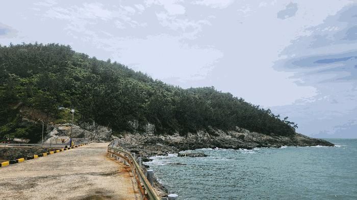 전라남도 완도군 청산면 읍리 산374-2 임야 경매 사진 3