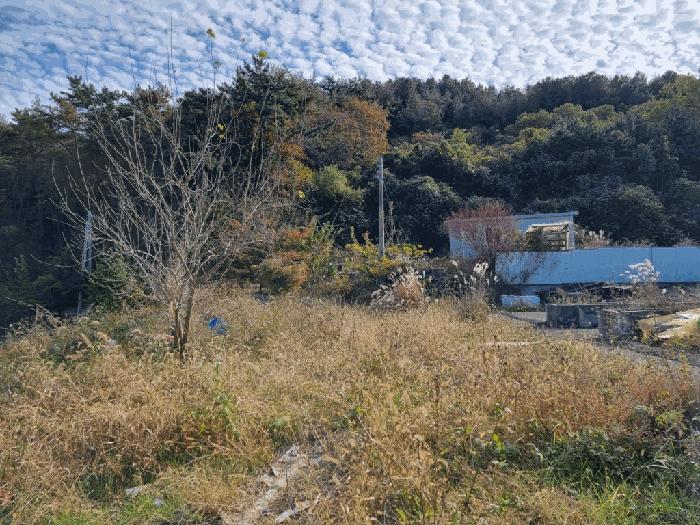 전라남도 무안군 무안읍 용월리 1010-5 창고 경매 사진 2