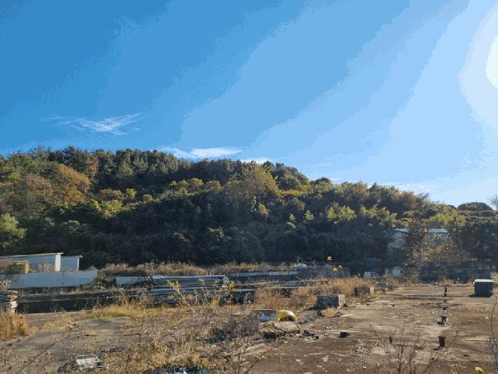 전라남도 무안군 무안읍 용월리 1010-5 창고 경매 사진 4
