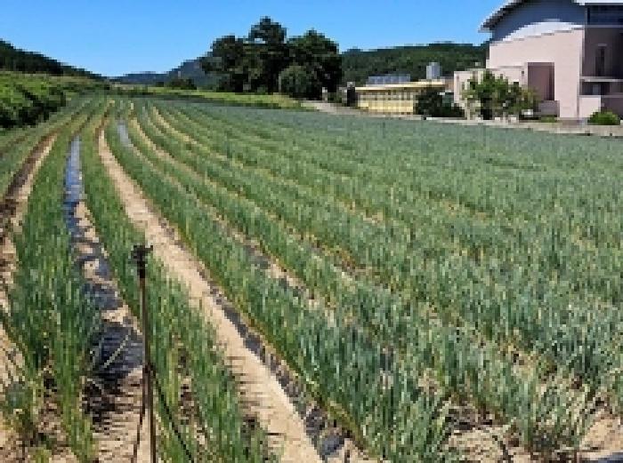 전라남도 진도군 지산면 인지리 287-1 전 경매 사진 3