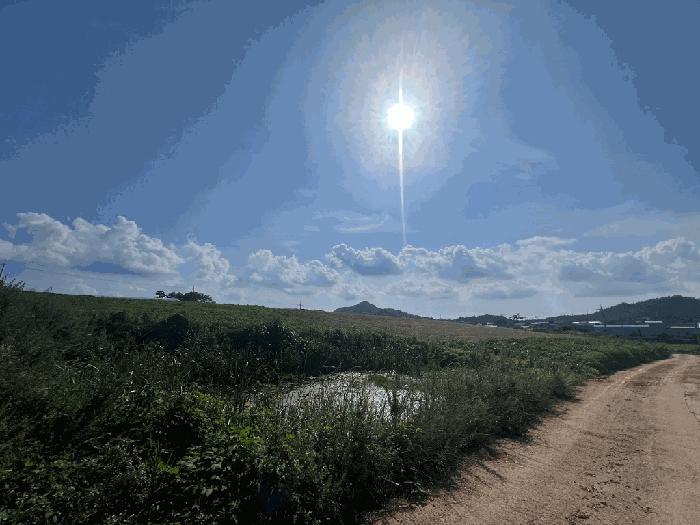 전라남도 해남군 마산면 학의리 산34-6 임야 경매 사진 4